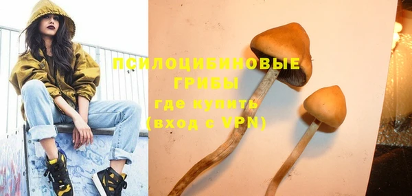 дурь Армянск